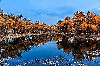 逆袭神话！《黑神话》杨奇：从被剥夺学位到荣膺客座教授